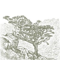Cederberg Wines logo - Similar company to Council Rock: Smart Private Networks
