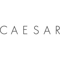 Caesar Development logo - Similar company to Connected Skills