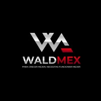 WALDMEX- ASESORIA Y CONSULTORÍA EN MEJORAS DE INGENIERÍA Y MANUFACTURA logo - Similar company to Sim1Tech