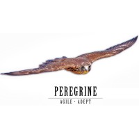 Peregrine Falcon Corporation logo - Similar company to Bravers