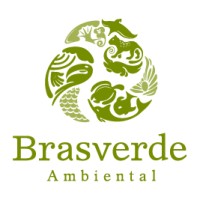 Brasverde Ambiental logo - Similar company to Io Júnior Consultoria E Educação Ambiental