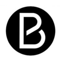 Brandz LLC logo - Similar company to Sf Web Designs