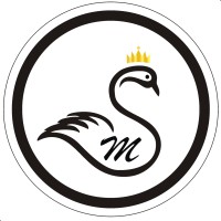Swarn Mahal Jewels logo - Similar company to 18 Solitaire