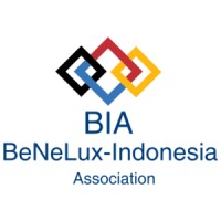 BeNeLux Indonesia Association logo - Similar company to Video Phase