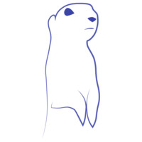 Blue Gopher Inc. logo - Similar company to Windrush Capital