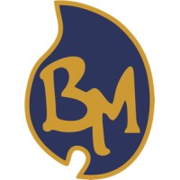 PT. Bonanza Megah logo - Similar company to Arisa