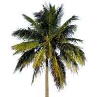 Barclay Breland Family Office logo - Similar company to Atlantic Wealth Partners