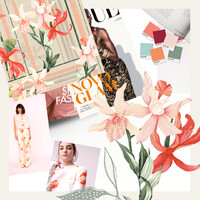 Studio Sense logo - Similar company to Studio Paraizo