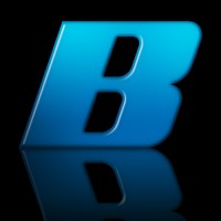 Bluize logo - Similar company to Data Vintage