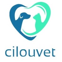 CILOUVET logo - Similar company to Vicen Vet