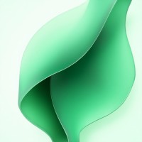 Emerald Claims Management of New York logo - Similar company to Curbside Bell (Curbsidebell)