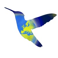 COLIBRI WORLD CONSULTING logo - Similar company to Eplayces - Serious Gaming