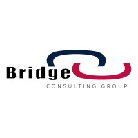 Bridge Consulting Group Vietnam logo - Similar company to L'Outarde Libérée