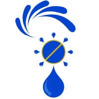 Raygonal logo - Similar company to Pixconvey Ltd
