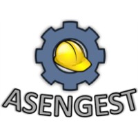 ASENGEST logo - Similar company to Associação De Engenheiros E Arquitetos De Maringá - Aeam