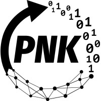 PNK logo - Similar company to Intelquest