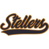Stellers logo - Similar company to Fashgiant.Com
