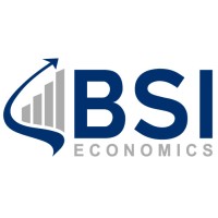 BSI Economics logo - Similar company to Rexecode