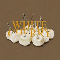 whitecherryteam logo - Similar company to Drawise