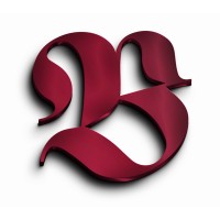 Borderless Technology logo - Similar company to Uneleap