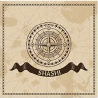Shashi international logo - Similar company to Milansoft Eservices