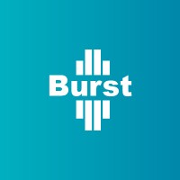 Burst logo - Similar company to Vistalid