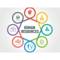 Qomzy International logo - Similar company to Hr Genius