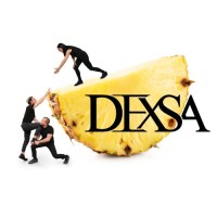 DEXSA Event logo - Similar company to Protektis Gmbh