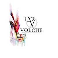 Volche LLC logo - Similar company to Kummer, Lambert, Fox, Glandt & Nelson, Llp