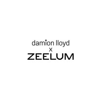 Damion Lloyd x Zeelum Studio logo - Similar company to Zeelum Studio