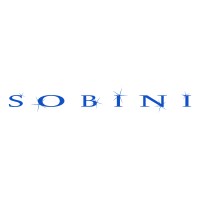 Sobini Films logo - Similar company to Naj Fu Studios Llc