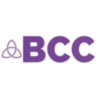 Business Change Consulting, LLC logo - Similar company to Riskrevu, Llc