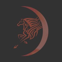 Darkhorse Business Systems logo - Similar company to Skofi - Findmyitpartner.Com