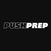 Pushprep logo - Similar company to Bitchstix