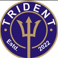 TRIDENT SUPER SPECIALITY NEUROPSYCHIATRIC HOSPITAL & REHABILITATION CENTRE logo - Similar company to Vivanhospital