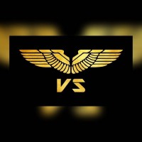 vs-exports logo - Similar company to Phala Exports