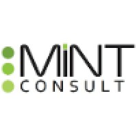 Mint Consult Ltd