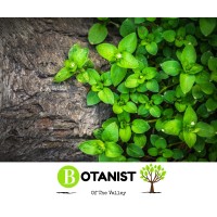 Botanist of The Valley logo - Similar company to Botanist