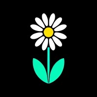 Daisy logo - Similar company to 108Solutions