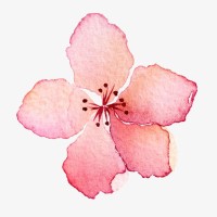 Yashaswini Ramesh logo - Similar company to Yashaswini Hr Solutions Pvt Ltd