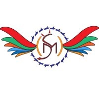 Metaverse Studios logo - Similar company to Cognib