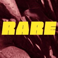 RARE Media logo - Similar company to Digital Ca