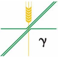 riskGRID logo - Similar company to Commodity Execution, Llc