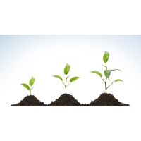 Roy Newey Growth Partnership logo - Similar company to Inclusion Cayman