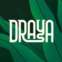 Draya logo - Similar company to Real Capital