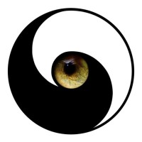 Reorient, Inc.