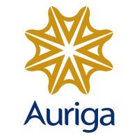Auriga International Management Consultants logo - Similar company to Intact Mep Academy