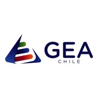 Asistencias GEA CHILE S.A logo - Similar company to Transgesa
