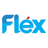 Flex Tanzania logo - Similar company to Index Labs Tz Company Limited