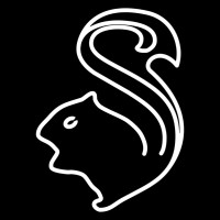 Squirreltology logo - Similar company to Neo Capital Gmbh
